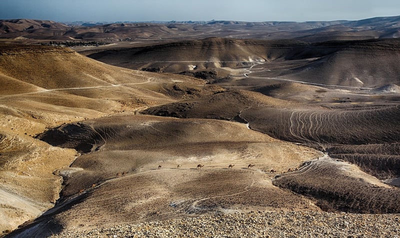 Canyon Trails